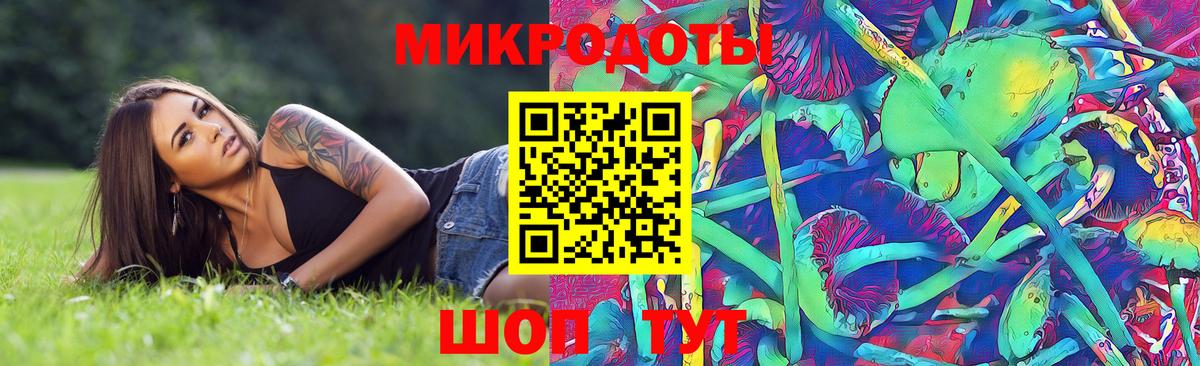 Галлюциногенные грибы прущие грибы Жуковский
