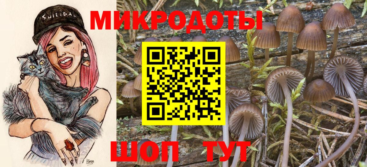 Галлюциногенные грибы MAGIC MUSHROOMS  Вход с VPN  Жуковский 