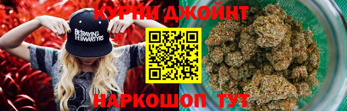 Канабис планчик Жуковский